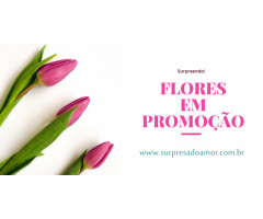 Entrega de flores em São Gonçalo (21) 4119-2273