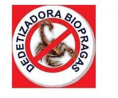 Dedetização em Fortaleza Biopragas (85) 3467-5061/98753-0271