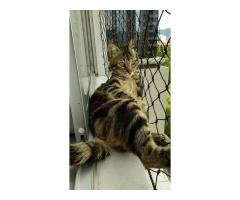 REDES DE PROTEÇÃO NO HORTO FLORESTAL 11 3455-9884