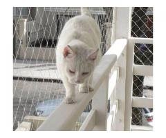 REDES DE PROTEÇÃO NO JARAGUÁ 11 3455-9884