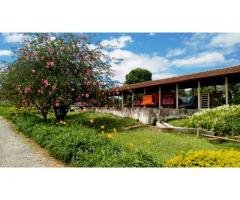 Vendo Fazenda 73 Alqueires - Interior de São Paulo - R$7.500.000,00